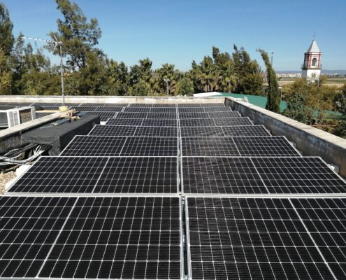 cactus gestión energética Rinconada