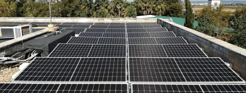 cactus gestión energética Rinconada