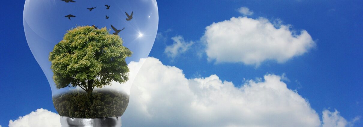 next generation eficiencia energética